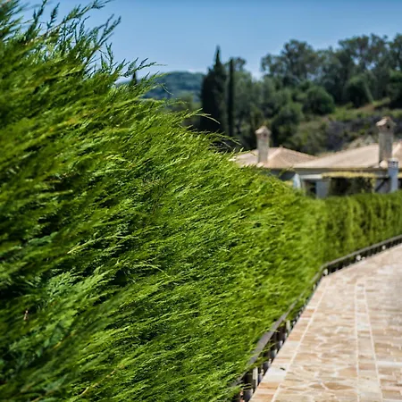 Mega Lithari Corfu Luxury Hotel *