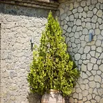 Mega Lithari Corfu Luxury * Kavvadades